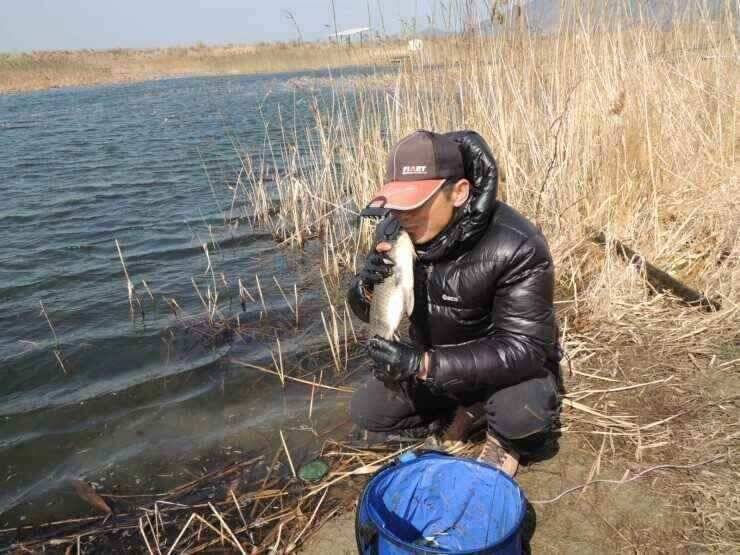강화권 3월3주주중 조황 (조황조행기 - 낚시점조황)
