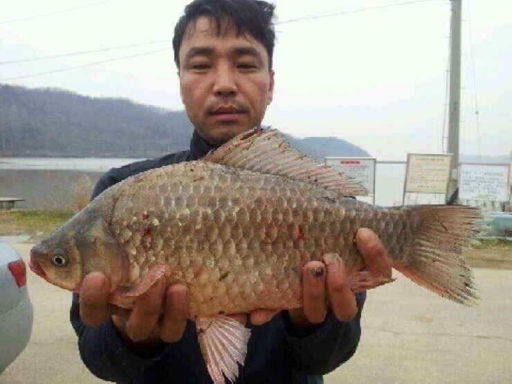 초겨울속의 4짜 (조황조행기 - 낚시점조황)