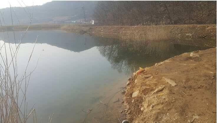 2017년 구미권 붕어낚시 첫 조황소식 전합니다 (조황조행기 - 낚시점조황)