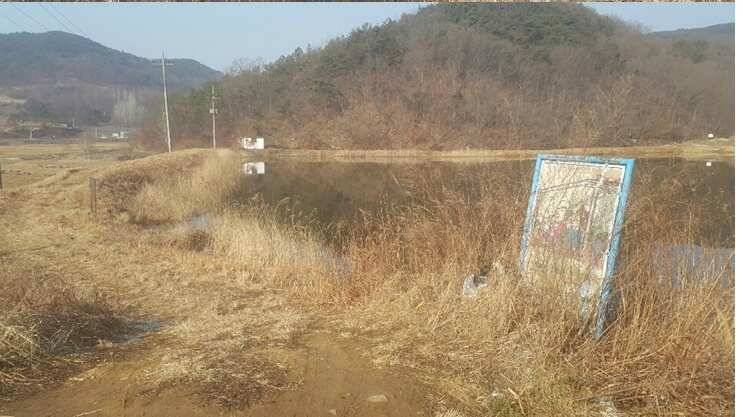 2017년 구미권 붕어낚시 첫 조황소식 전합니다 (조황조행기 - 낚시점조황)