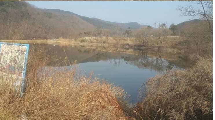 2017년 구미권 붕어낚시 첫 조황소식 전합니다 (조황조행기 - 낚시점조황)