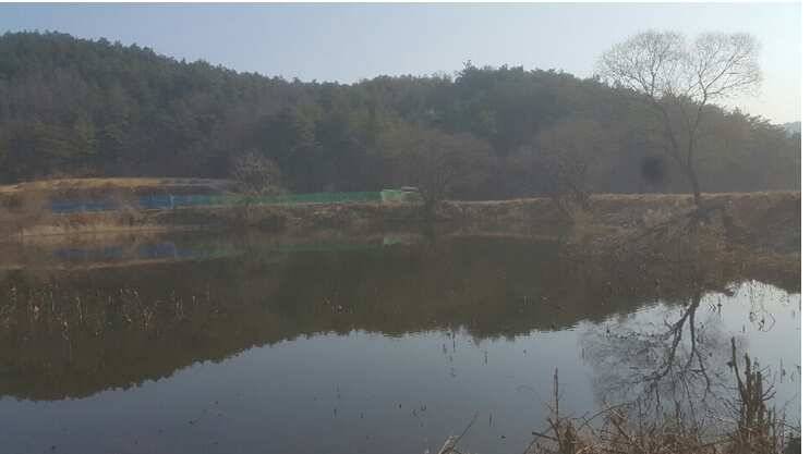 2017년 구미권 붕어낚시 첫 조황소식 전합니다 (조황조행기 - 낚시점조황)