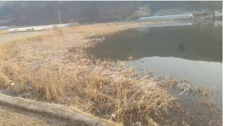 2017년 구미권 붕어낚시 첫 조황소식 전합니다 (조황조행기 - 낚시점조황)