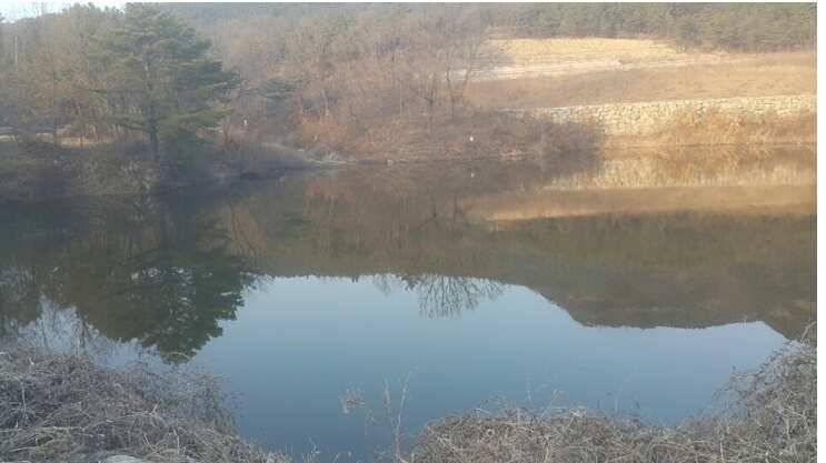 2017년 구미권 붕어낚시 첫 조황소식 전합니다 (조황조행기 - 낚시점조황)