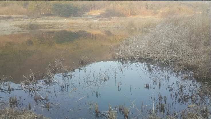 2017년 구미권 붕어낚시 첫 조황소식 전합니다 (조황조행기 - 낚시점조황)