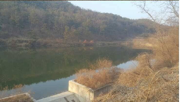 2017년 구미권 붕어낚시 첫 조황소식 전합니다 (조황조행기 - 낚시점조황)