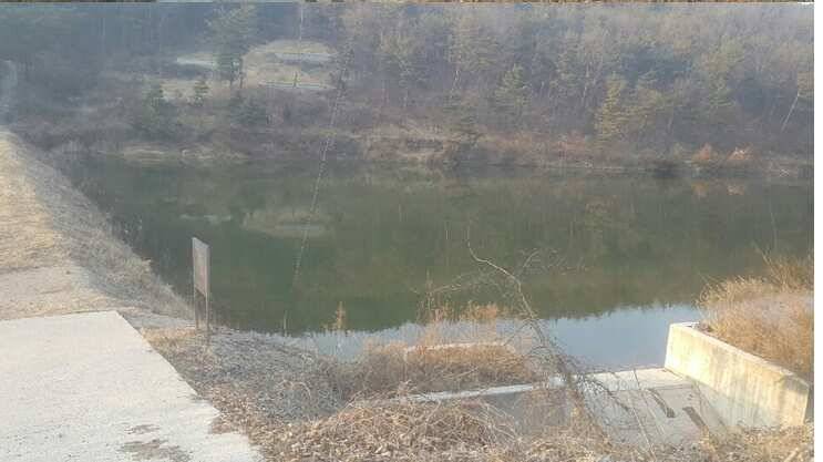 2017년 구미권 붕어낚시 첫 조황소식 전합니다 (조황조행기 - 낚시점조황)