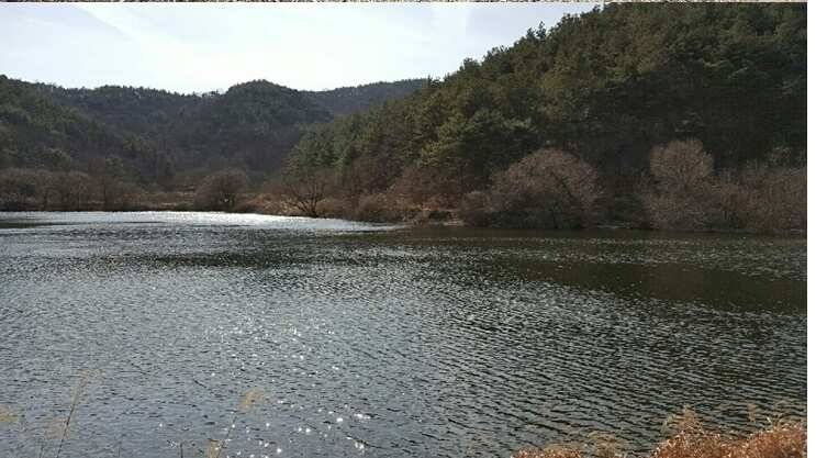 2017년 구미권 붕어낚시 첫 조황소식 전합니다 (조황조행기 - 낚시점조황)
