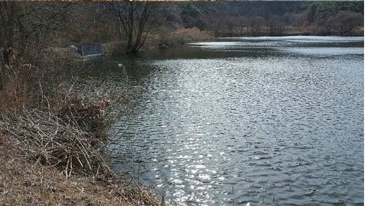 2017년 구미권 붕어낚시 첫 조황소식 전합니다 (조황조행기 - 낚시점조황)