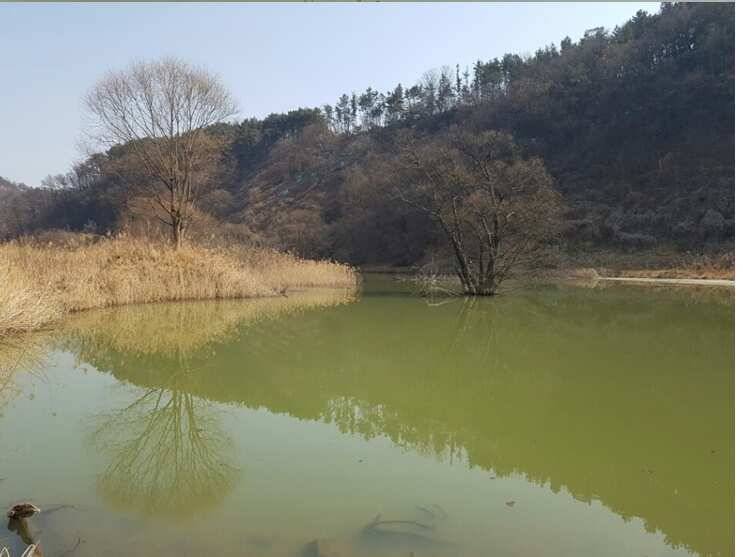 2017년 구미권 붕어낚시 첫 조황소식 전합니다 (조황조행기 - 낚시점조황)