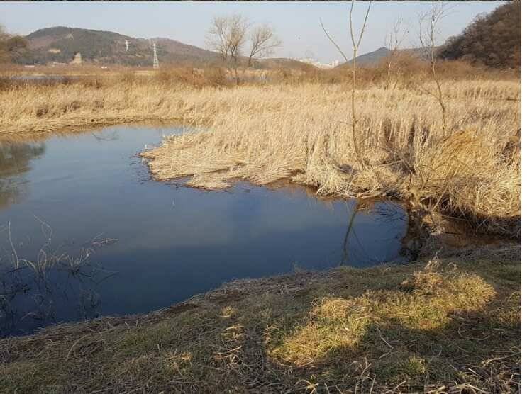 2017년 구미권 붕어낚시 첫 조황소식 전합니다 (조황조행기 - 낚시점조황)