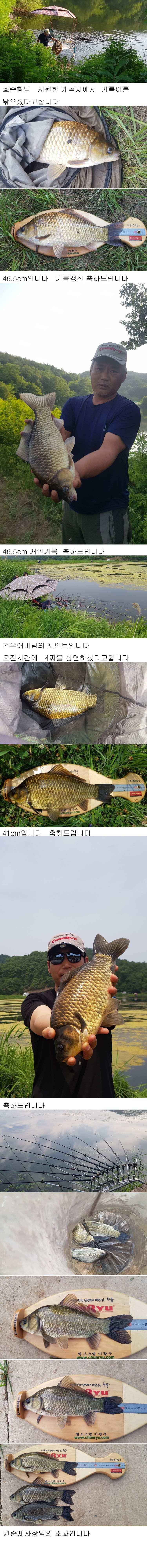 의성권배수기에 465cm 415cm 41cm 조황입니다 (조황조행기 - 낚시점조황)