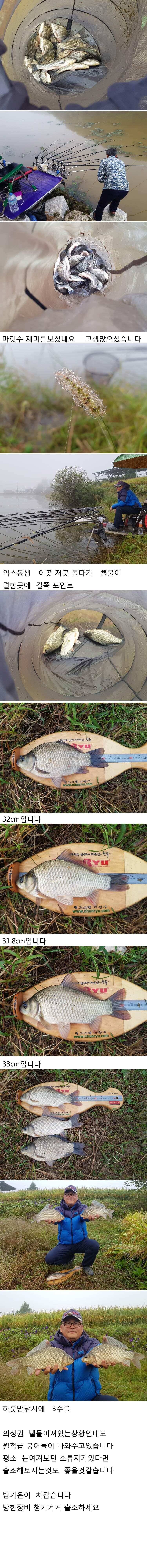 의성권 조황입니다 (조황조행기 - 낚시점조황)