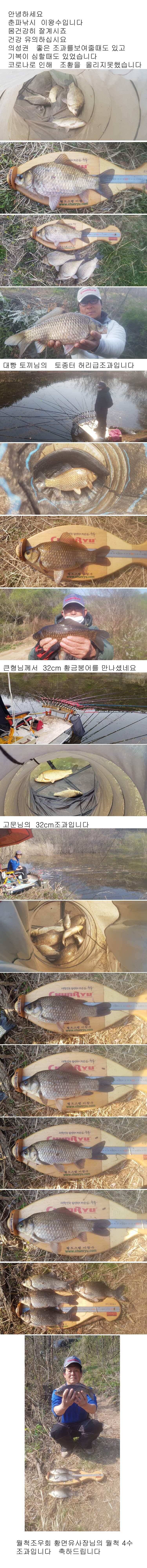 의성권 4짜와 허리급 월척 조황입니다 (조황조행기 - 낚시점조황)
