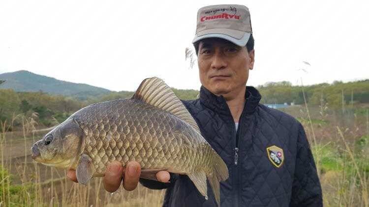 의성권 왕성한 먹이활동을 해주는것같습니다 (조황조행기 - 낚시점조황)