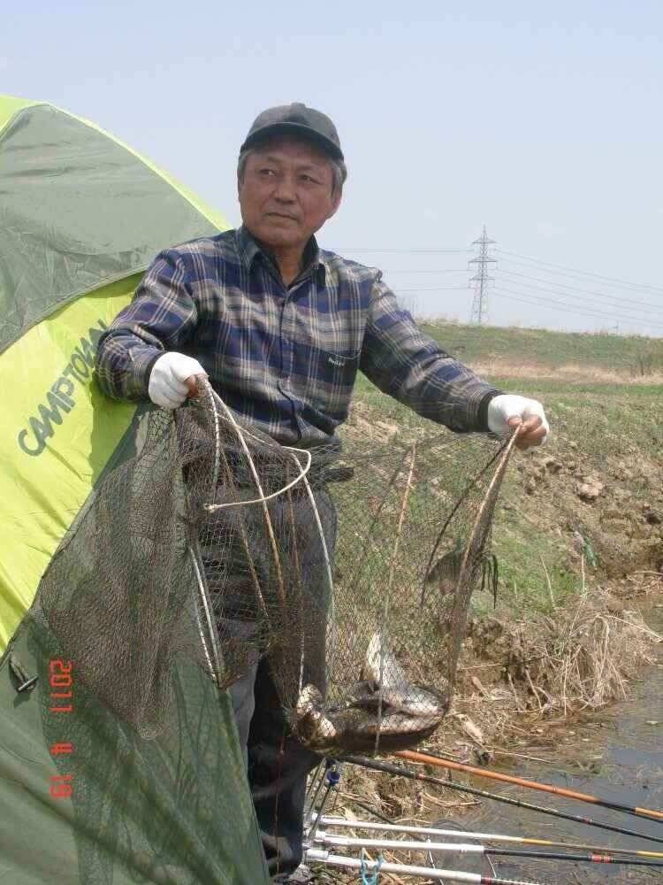 진위천 조황 소식 (조황조행기 - 낚시점조황)