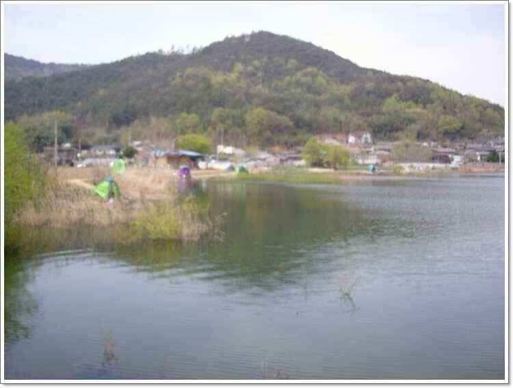 창녕 갓골늪영상소식 (조황조행기 - 낚시점조황)