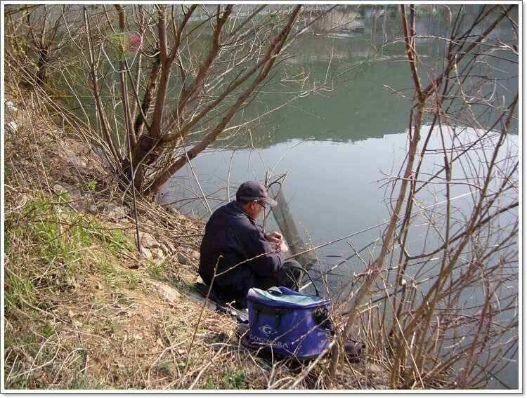 ㅣ황금시기 (조황조행기 - 낚시점조황)