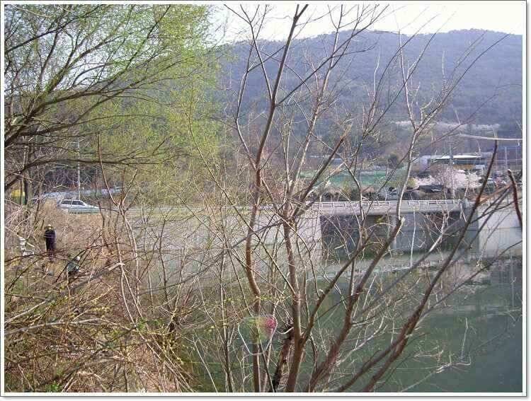 ㅣ황금시기 (조황조행기 - 낚시점조황)