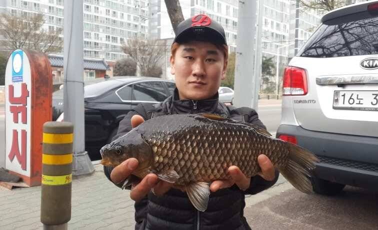 경북권구미권 4월3주차 조황정보 (조황조행기 - 낚시점조황)