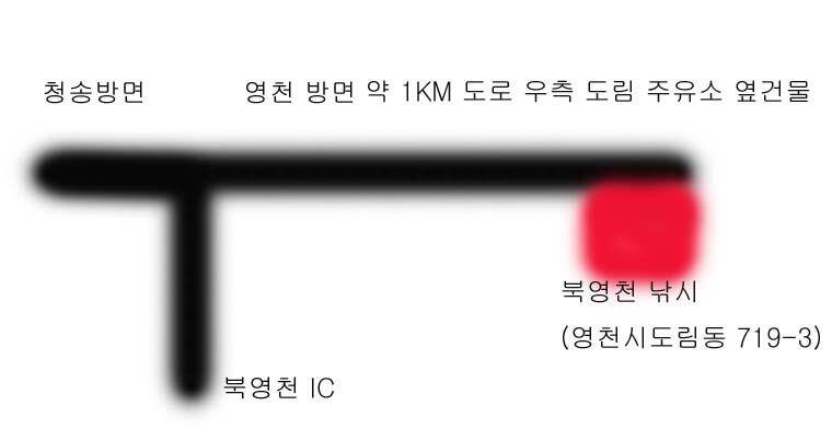 북영천권 소류지 탐방오랜만에 인사드립니다 (조황조행기 - 낚시점조황)