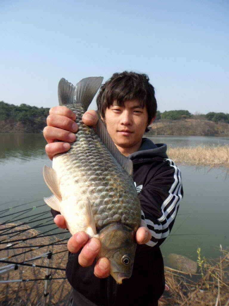 문천지 조황 (조황조행기 - 낚시점조황)