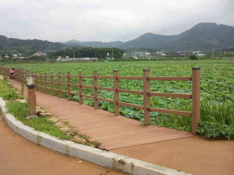 지금 출발 하십시요 (조황조행기 - 낚시점조황)