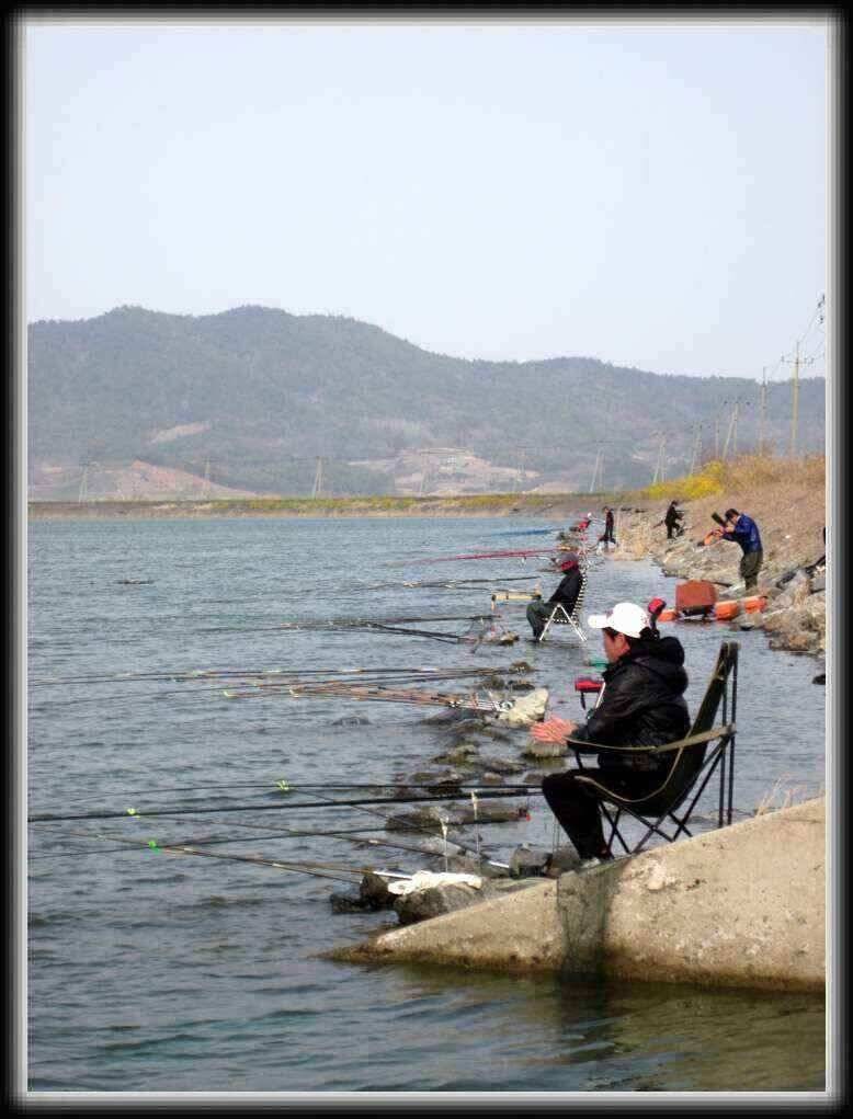 고흥만 조황입니다 (조황조행기 - 낚시점조황)