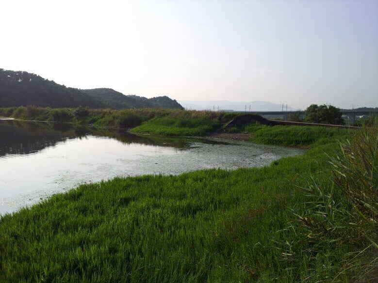 지금 출발 하십시요 (조황조행기 - 낚시점조황)