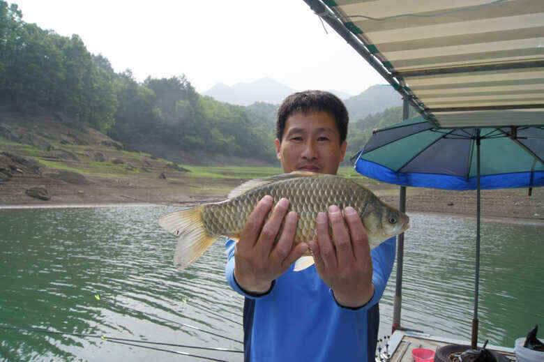 병호문골낚시터 대물붕어 노지조황정보 (조황조행기 - 낚시점조황)
