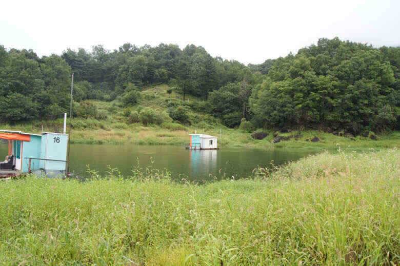 육초대덮는 충주호 내사리권좌대 (조황조행기 - 낚시점조황)
