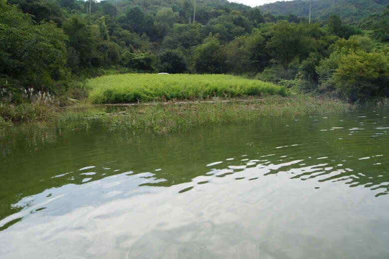 제일김기호낚시터 조황정보 (조황조행기 - 낚시점조황)