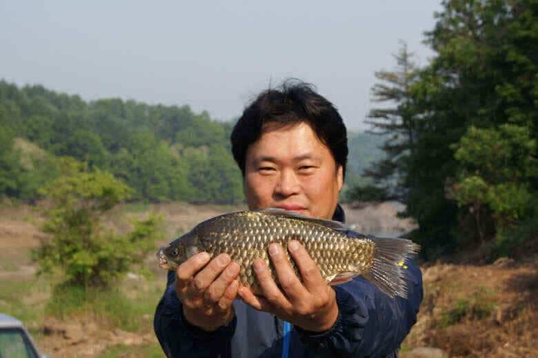 늘푸른 장임식 월척붕어와 장어 (조황조행기 - 낚시점조황)