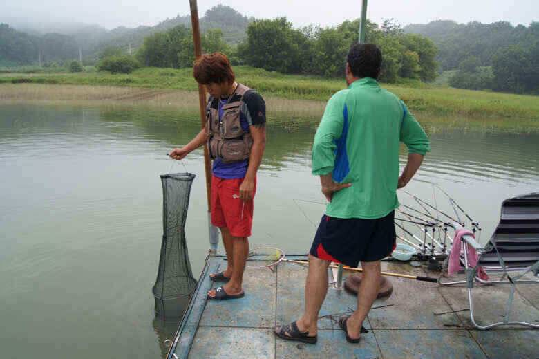충주호 제일낚시터 조황정보 (조황조행기 - 낚시점조황)