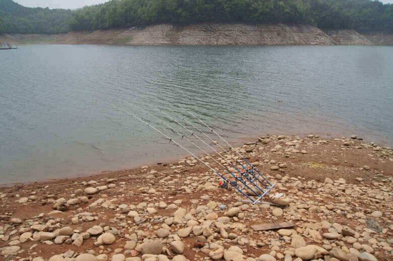 365 충주호대물붕어 구경하세요 (조황조행기 - 낚시점조황)