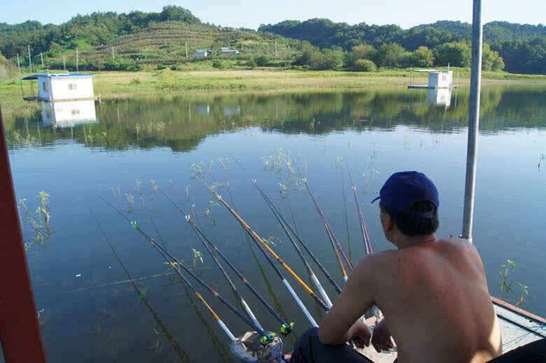 제일낚시조황정보 (조황조행기 - 낚시점조황)