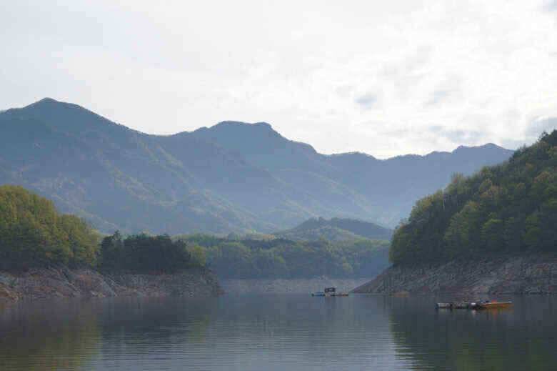 충주호노지 조황살아나는듯 제일조황 (조황조행기 - 낚시점조황)