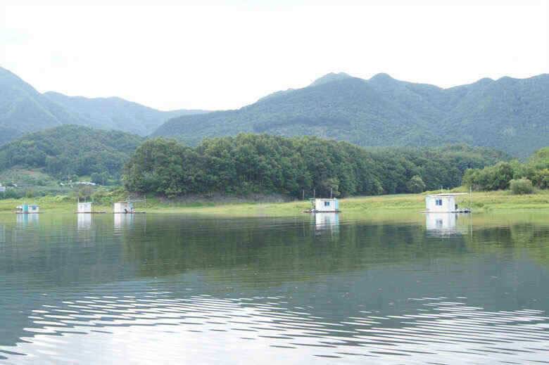 제일낚시조황 살아나는듯 (조황조행기 - 낚시점조황)