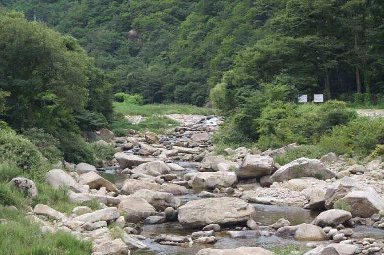 제일낚시조황 살아나는듯 (조황조행기 - 낚시점조황)