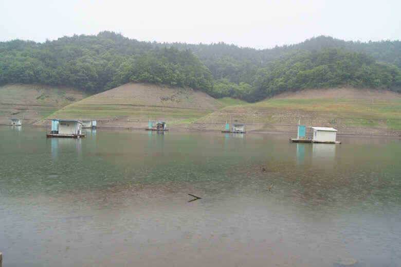 충주호윤낚시 신매낚시조황정보 (조황조행기 - 낚시점조황)