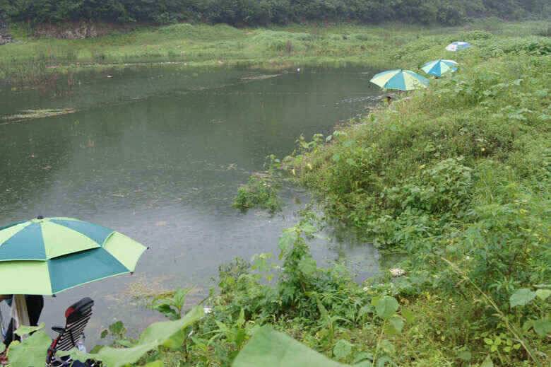 충주호노지425 대물붕어와 제일낚시조황정보 (조황조행기 - 낚시점조황)