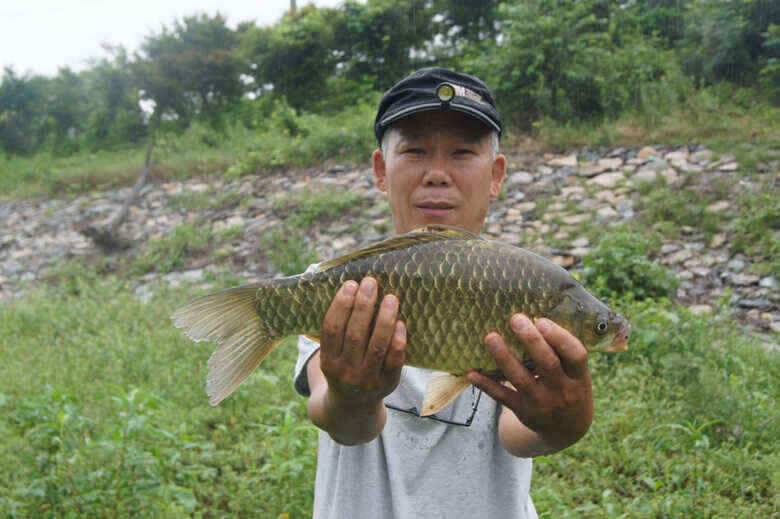 충주호노지425 대물붕어와 제일낚시조황정보 (조황조행기 - 낚시점조황)