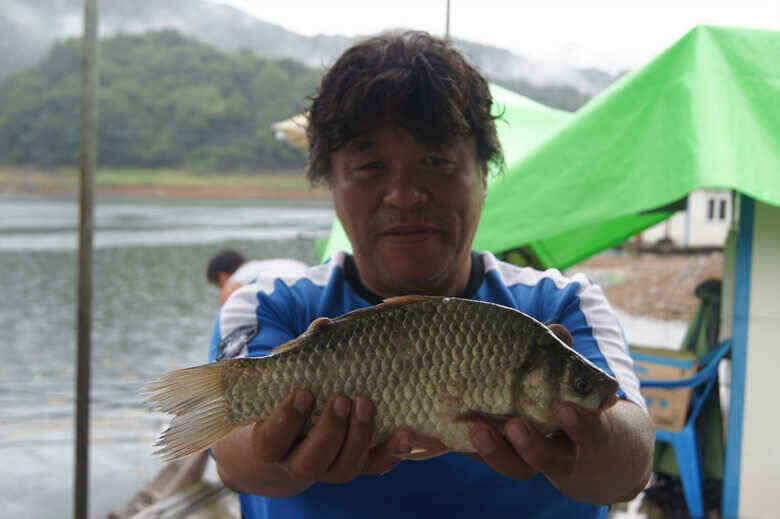 충주호김기호낚시터 낱마리월척 (조황조행기 - 낚시점조황)