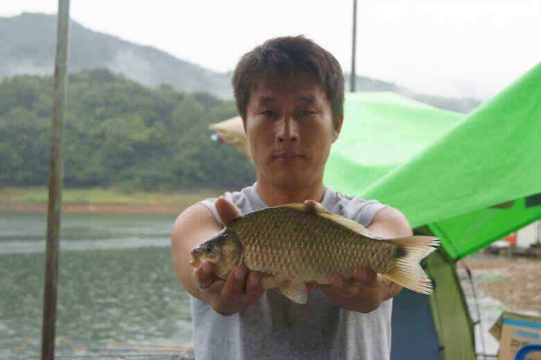 충주호김기호낚시터 낱마리월척 (조황조행기 - 낚시점조황)