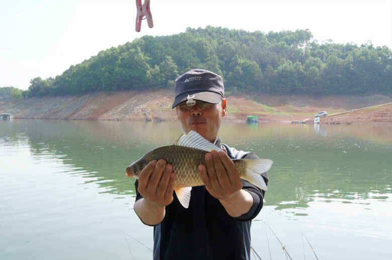 덕곡낚시터 김기호낙시터 월척보세요 (조황조행기 - 낚시점조황)