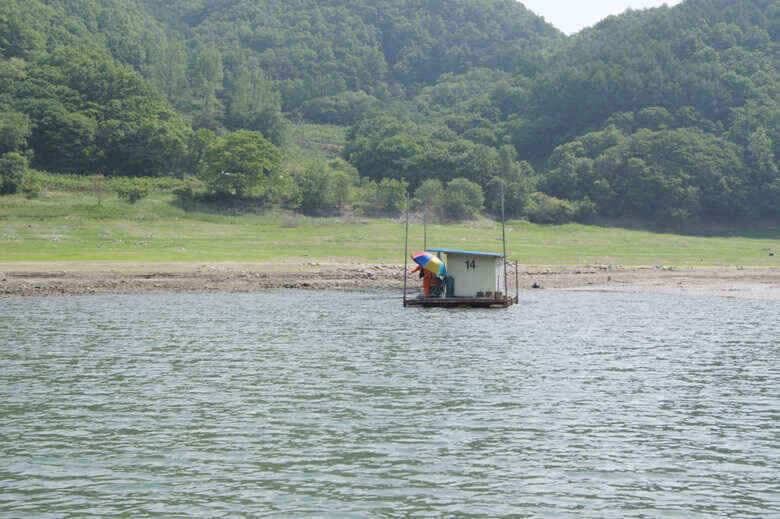 덕곡낚시터 김기호낙시터 월척보세요 (조황조행기 - 낚시점조황)