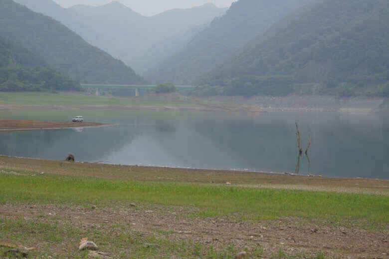 충주호노지 첫407 대물붕어 (조황조행기 - 낚시점조황)