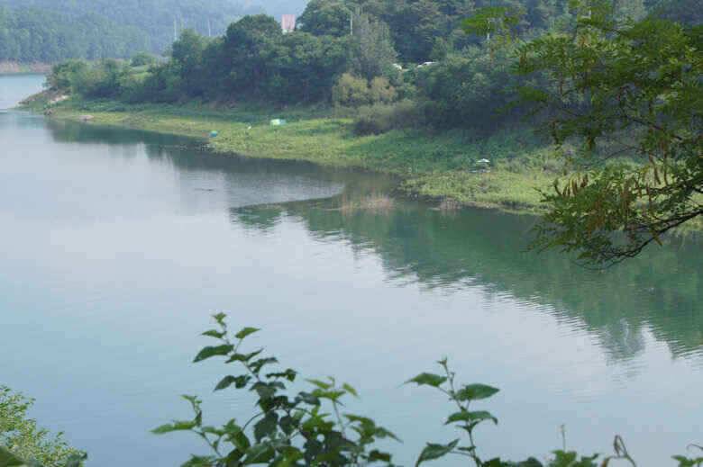 충주호 용곡김기호낚시터 월척소식 (조황조행기 - 낚시점조황)