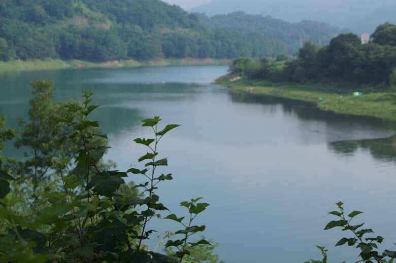 충주호 용곡김기호낚시터 월척소식 (조황조행기 - 낚시점조황)