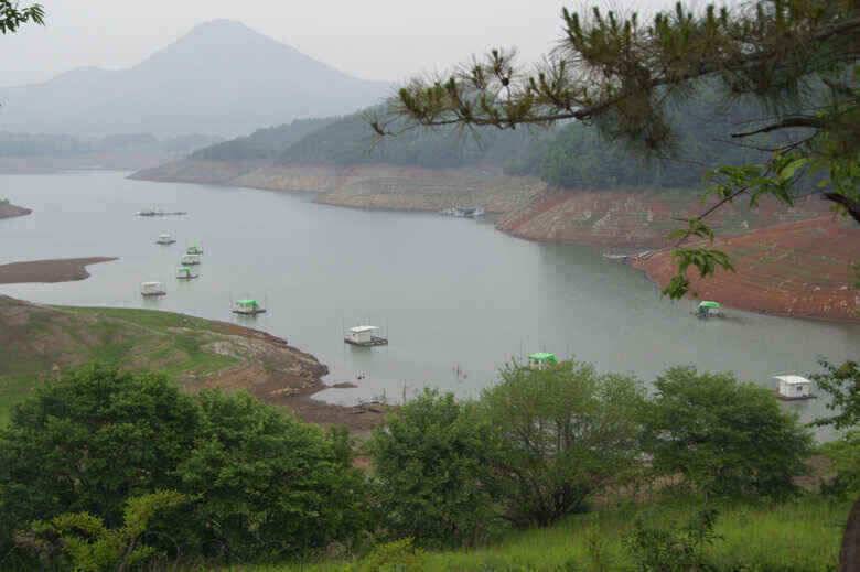 충주호노지 첫407 대물붕어 (조황조행기 - 낚시점조황)